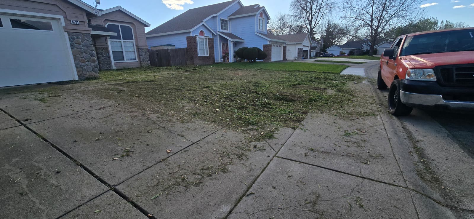 Yard after — completed transformation