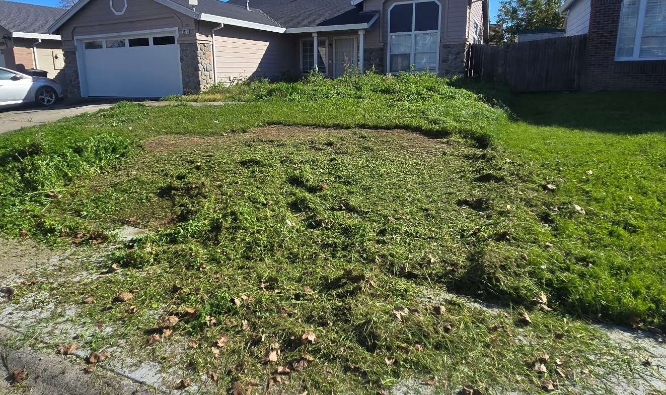 Yard cleared for clean-up